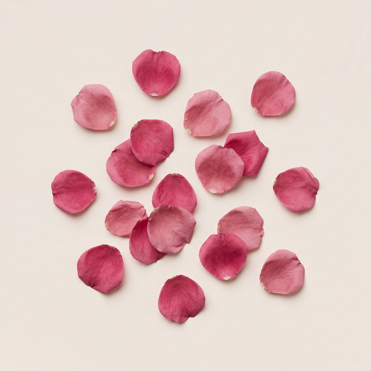 Damask Rose Bar